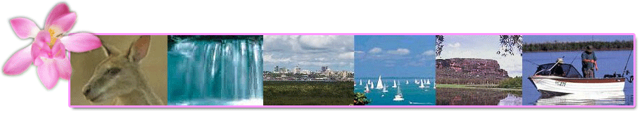 Darwin accommodation, Darwin air charters, annual events in Darwin, Darwin Art Galleries, attractions for visitors to Darwin, Darwin Attractions, Darwin car hire, Darwin caravan parks, Darwin childrens entertainment venues, Darwin cycle paths and  tracks, Darwin dinghy and boat hire, Darwin fishing charters, tours and trips, Darwin fishing competitions and tournaments, Darwin fishing tackle and supply shops, fun places for children in Darwin, interesting places around Darwin, Darwin markets, Darwin museums, Darwin night life, Darwin outdoor activities, Darwin picnic and barbeque places, popular Darwin tourist attractions, Darwin restaurants, NT road houses, Northern Territory roadhouses, safe places to swim around Darwin, safe swimming areas around Darwin, Top End tour companies, Darwin tourist Parks, unique territory gifts, NT war memorials, NT wildlife attractions