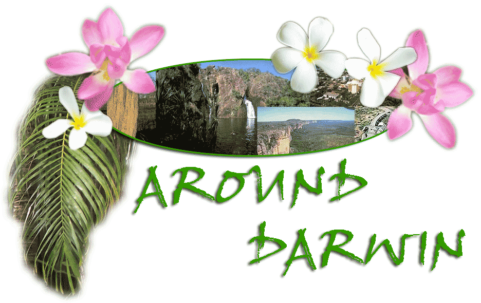 Darwin accommodation, Darwin air charters, annual events in Darwin, Darwin Art Galleries, attractions for visitors to Darwin, Darwin Attractions, Darwin car hire, Darwin caravan parks, Darwin childrens entertainment venues, Darwin cycle paths and  tracks, Darwin dinghy and boat hire, Darwin fishing charters, tours and trips, Darwin fishing competitions and tournaments, Darwin fishing tackle and supply shops, fun places for children in Darwin, interesting places around Darwin, Darwin markets, Darwin museums, Darwin night life, Darwin outdoor activities, Darwin picnic and barbeque places, popular Darwin tourist attractions, Darwin restaurants, NT road houses, Northern Territory roadhouses, safe places to swim around Darwin, safe swimming areas around Darwin, Top End tour companies, Darwin tourist Parks, unique territory gifts, NT war memorials, NT wildlife attractions